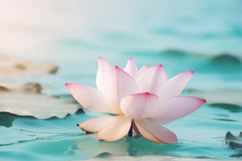 yoga Nidra benefits mental wellness
