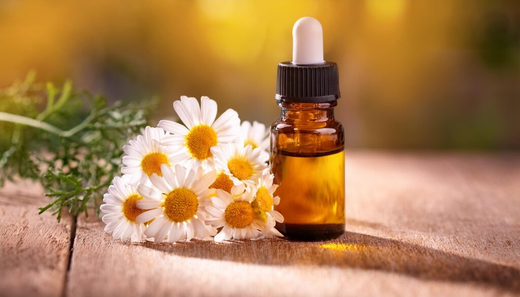 chamomile oil in aromatherapy, essential oils aromatherapy