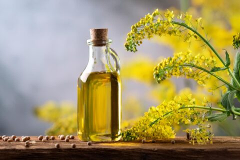 organic mustard oil