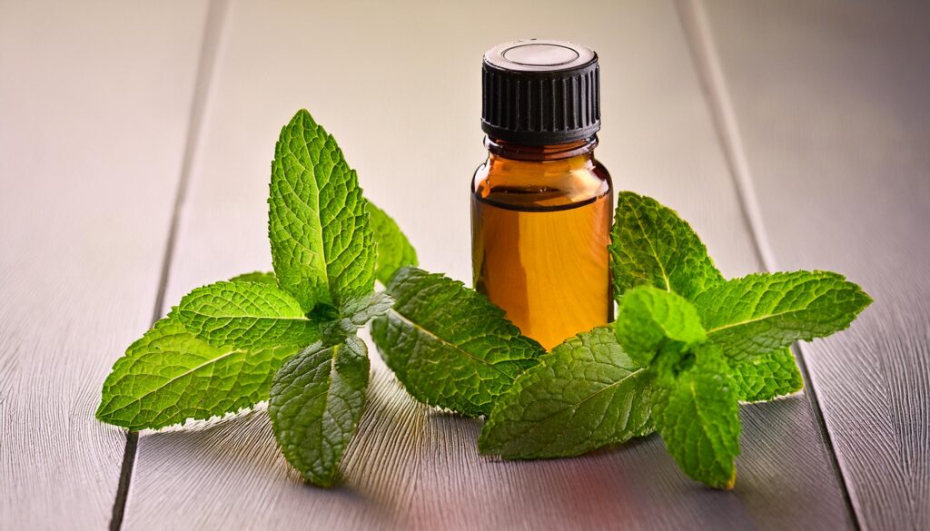 peppermint oil for aromatherapy, sleep essential oils